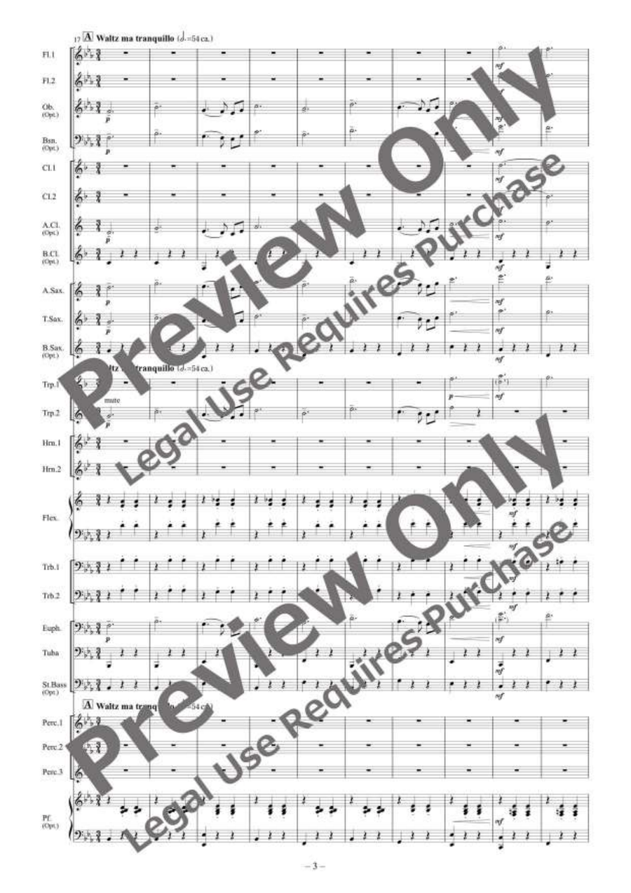Der Sterngucker (The Stargazer) Concert Band scores gallery preview page 4
