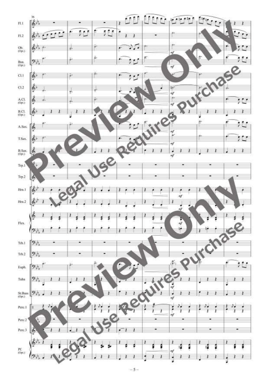 Der Sterngucker (The Stargazer) Concert Band scores gallery preview page 6