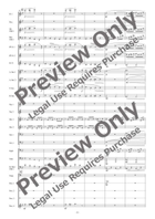 Die Fledermaus [Reduced Instrumentation] Concert Band scores gallery preview page 9