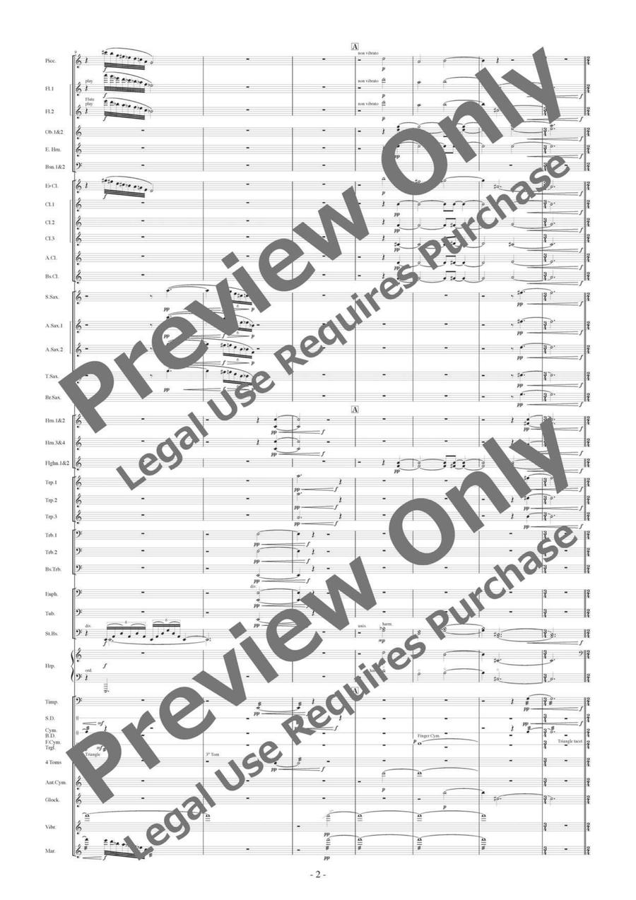 I Capuleti e i Montecchi Concert Band - Sheet Music page 3