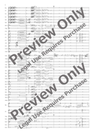 Metamorphose de Narcisse Concert Band scores gallery preview page 3
