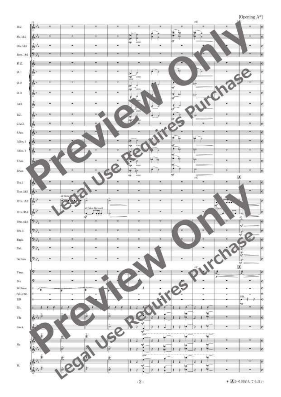 Die Zirkusprinzessin Selections [Full Instrumentation] Concert Band scores gallery preview page 3