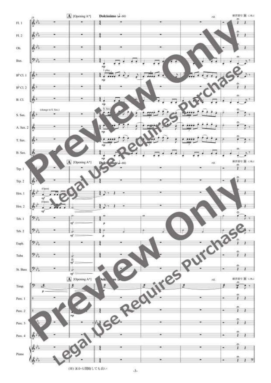 Die Zirkusprinzessin Selections [Reduced Instrumentation] Concert Band scores gallery preview page 4