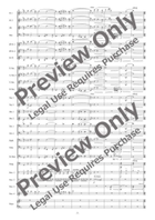 Die Zirkusprinzessin Selections [Reduced Instrumentation] Concert Band scores gallery preview page 8