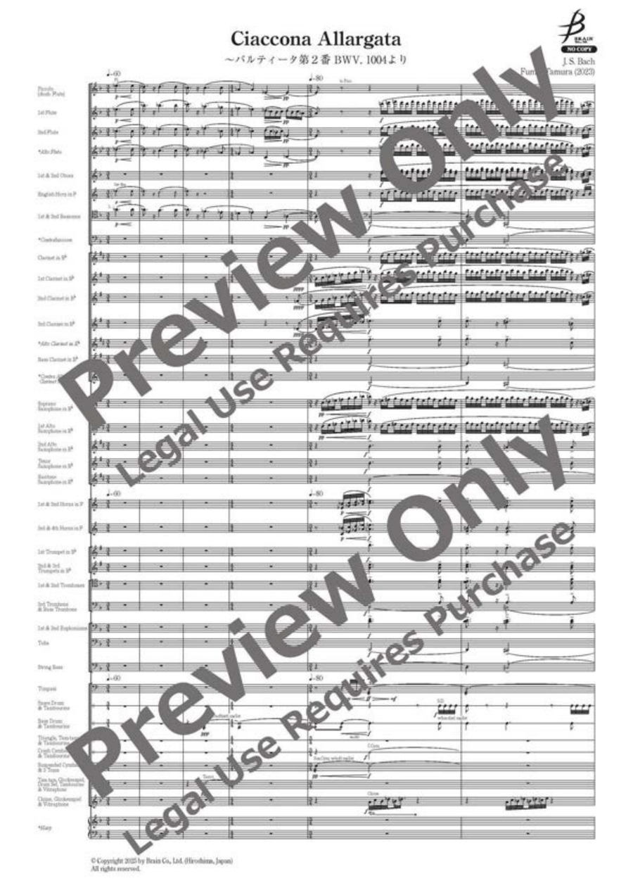 Ciaccona Allargata Concert Band scores gallery preview page 2