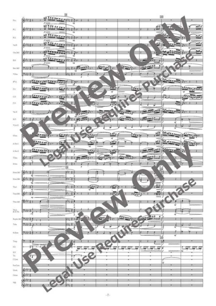 Ciaccona Allargata Concert Band scores gallery preview page 8