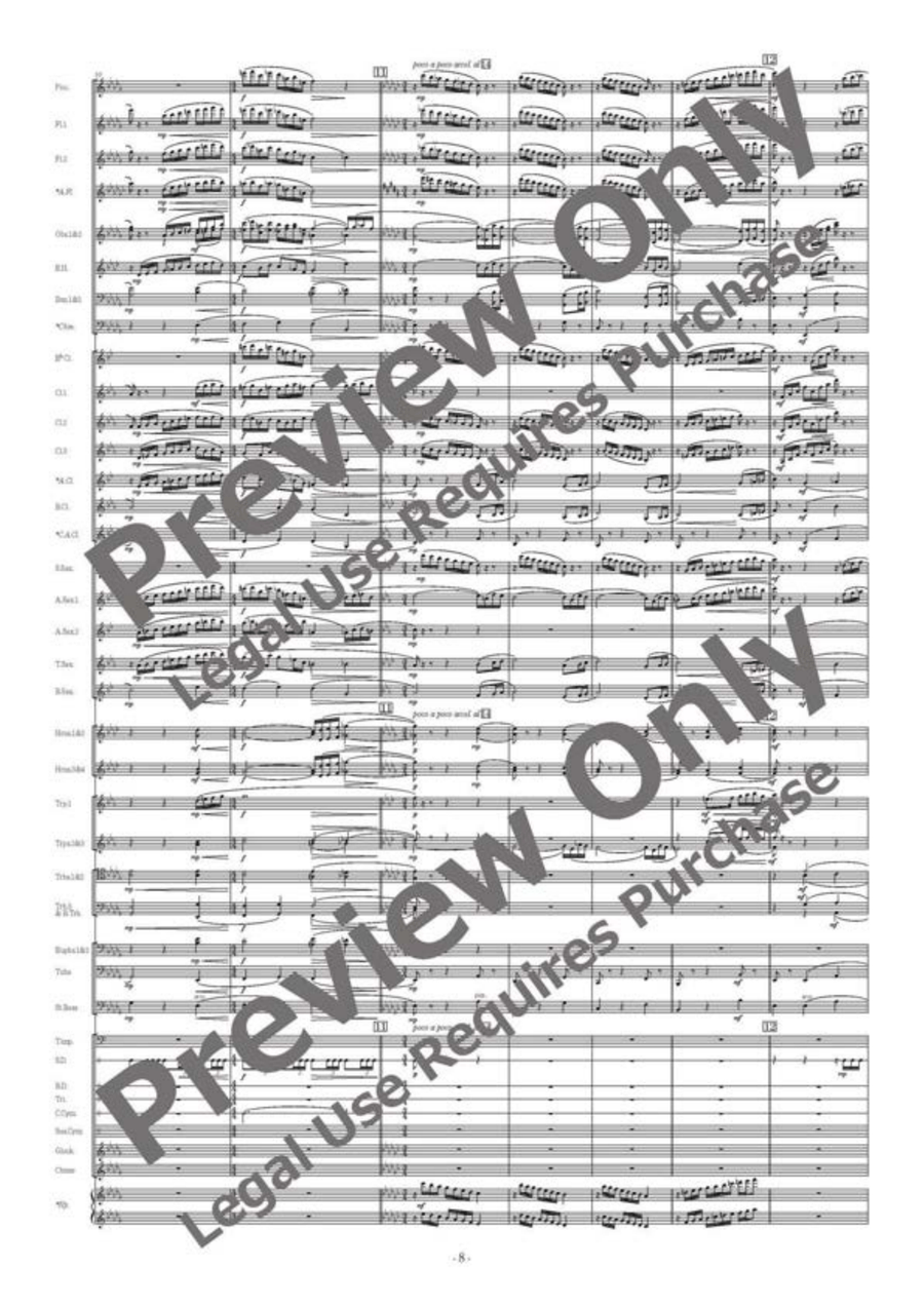 Ciaccona Allargata Concert Band scores gallery preview page 9
