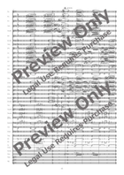 Ciaccona Allargata Concert Band scores gallery preview page 7