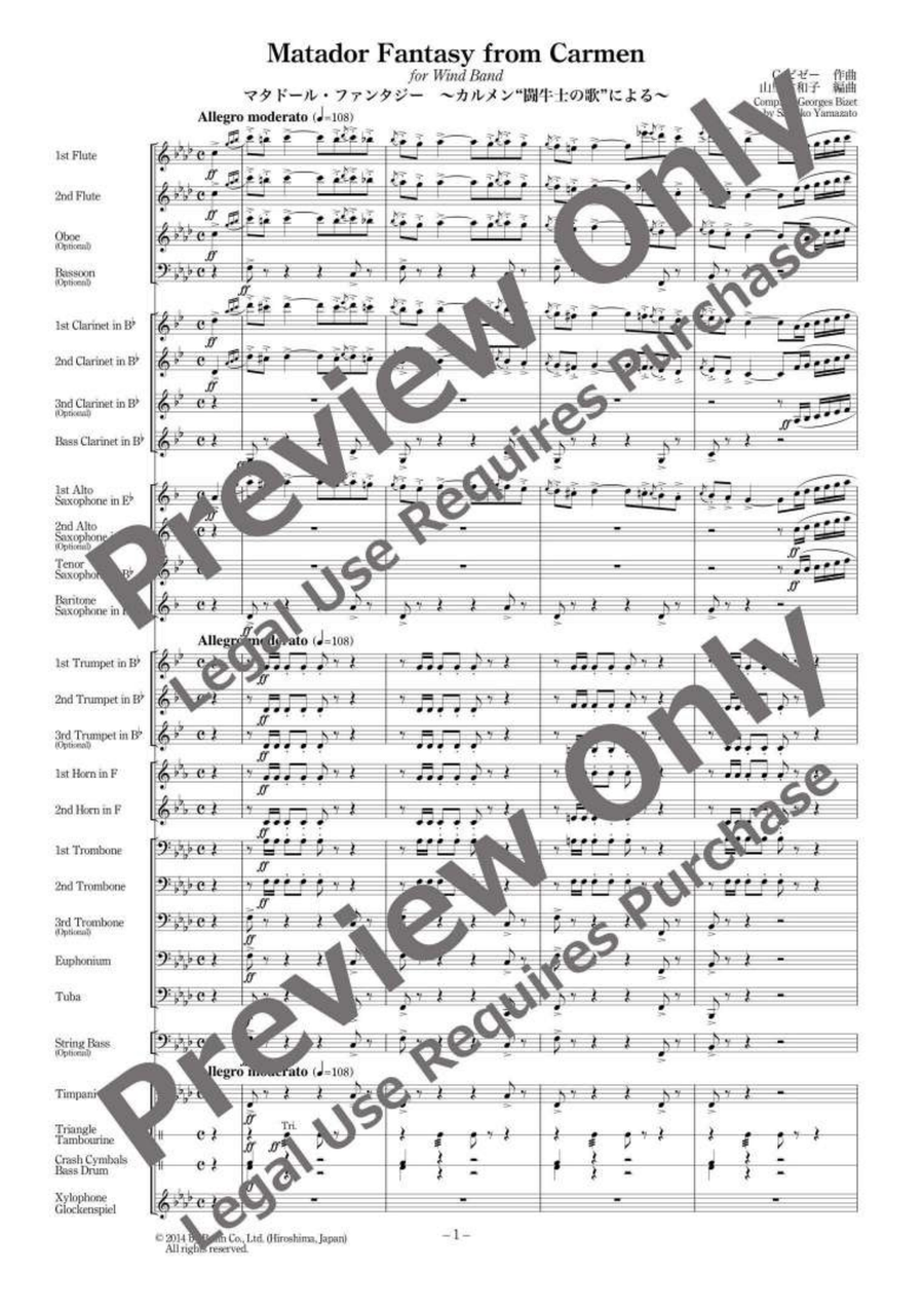 Matador Fantasy Matador Fantasy Concert Band scores gallery preview page 2