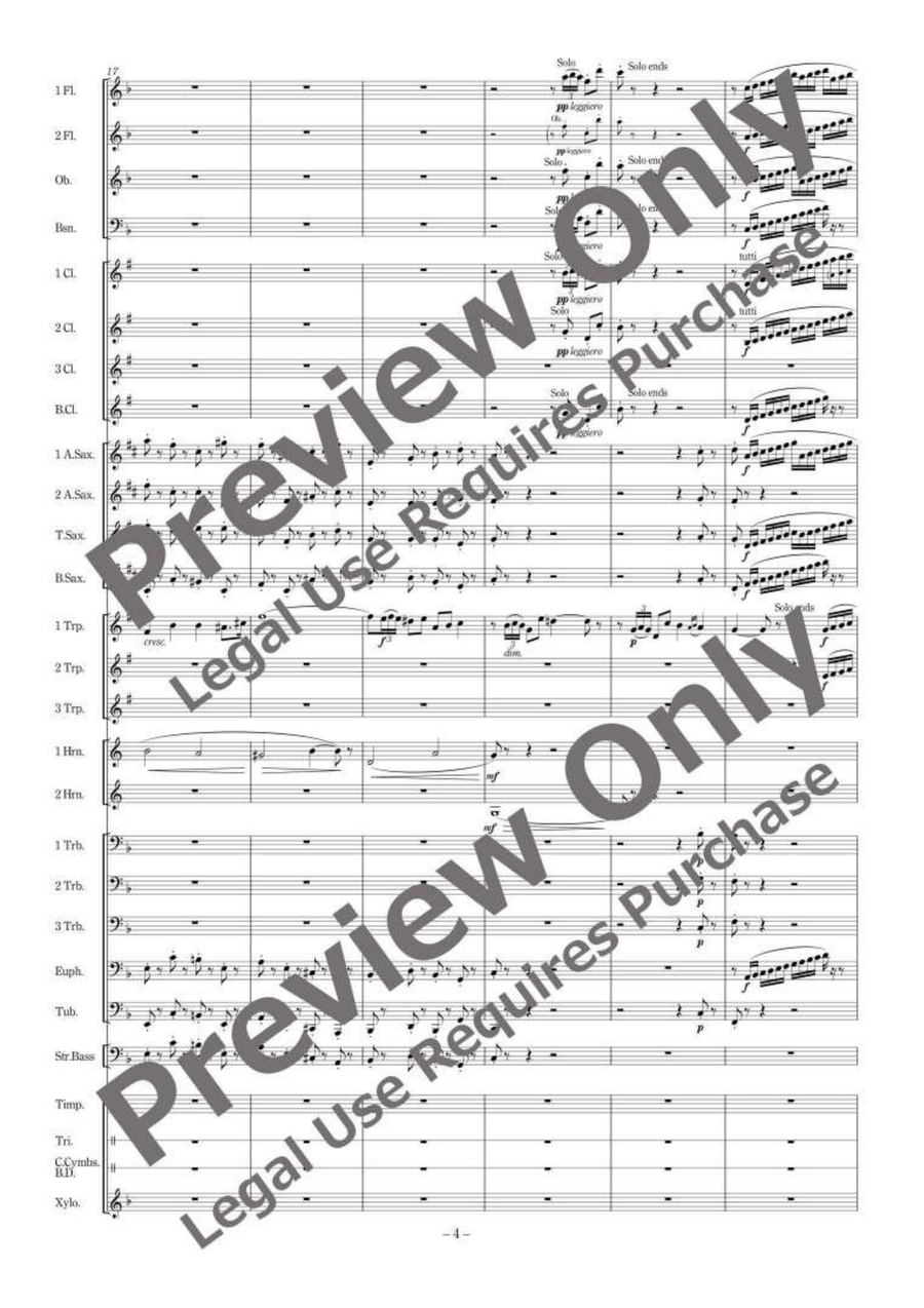 Matador Fantasy Matador Fantasy Concert Band scores gallery preview page 5