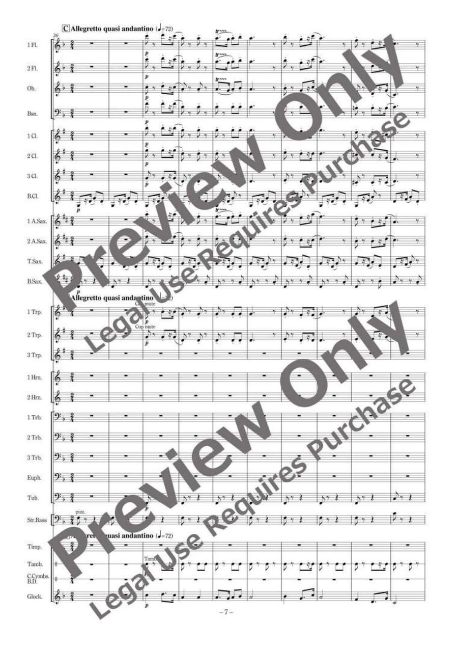 Matador Fantasy Matador Fantasy Concert Band scores gallery preview page 8