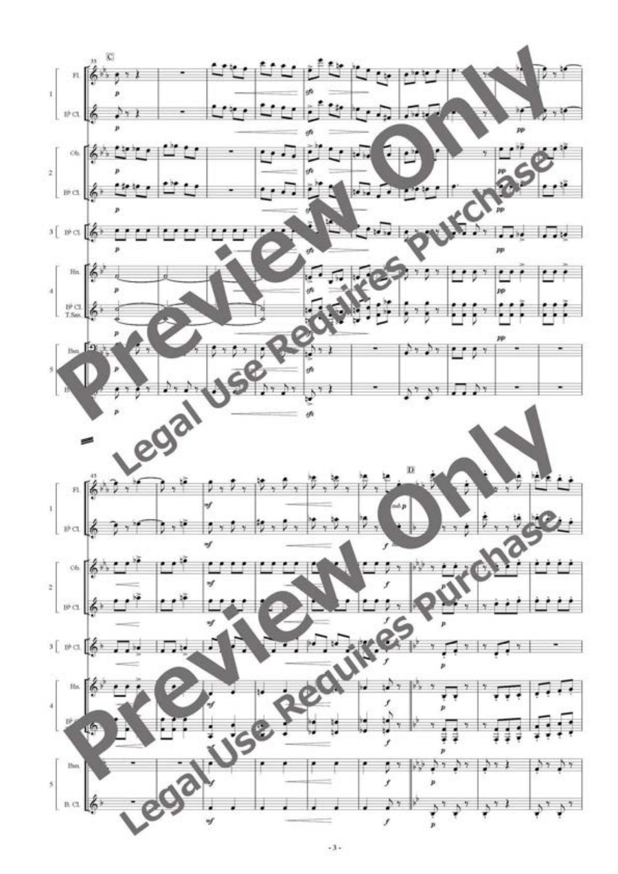 Tritsch Tratsch Polka - Flexible Woodwind Quintet Woodwind Quintet scores gallery preview page 4