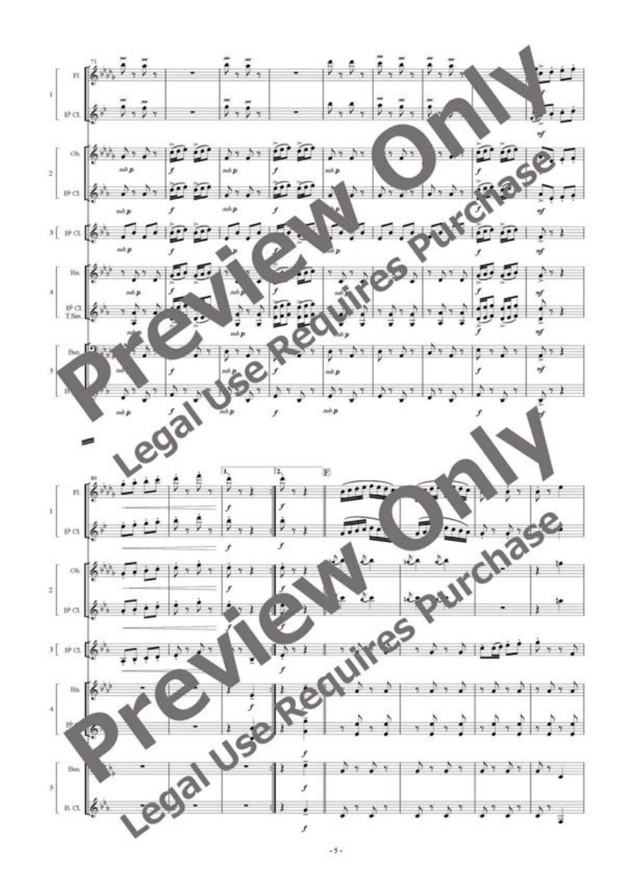 Tritsch Tratsch Polka - Flexible Woodwind Quintet Woodwind Quintet scores gallery preview page 6