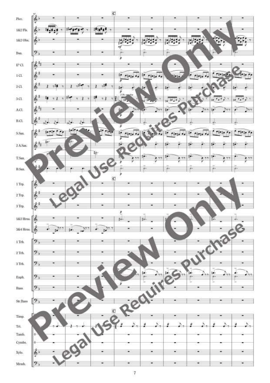 Polovtsian Dances from Prince Igor Concert Band - Sheet Music page 8