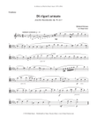 Di rigori armato from Der Rosenkavalier for Trombone and Piano