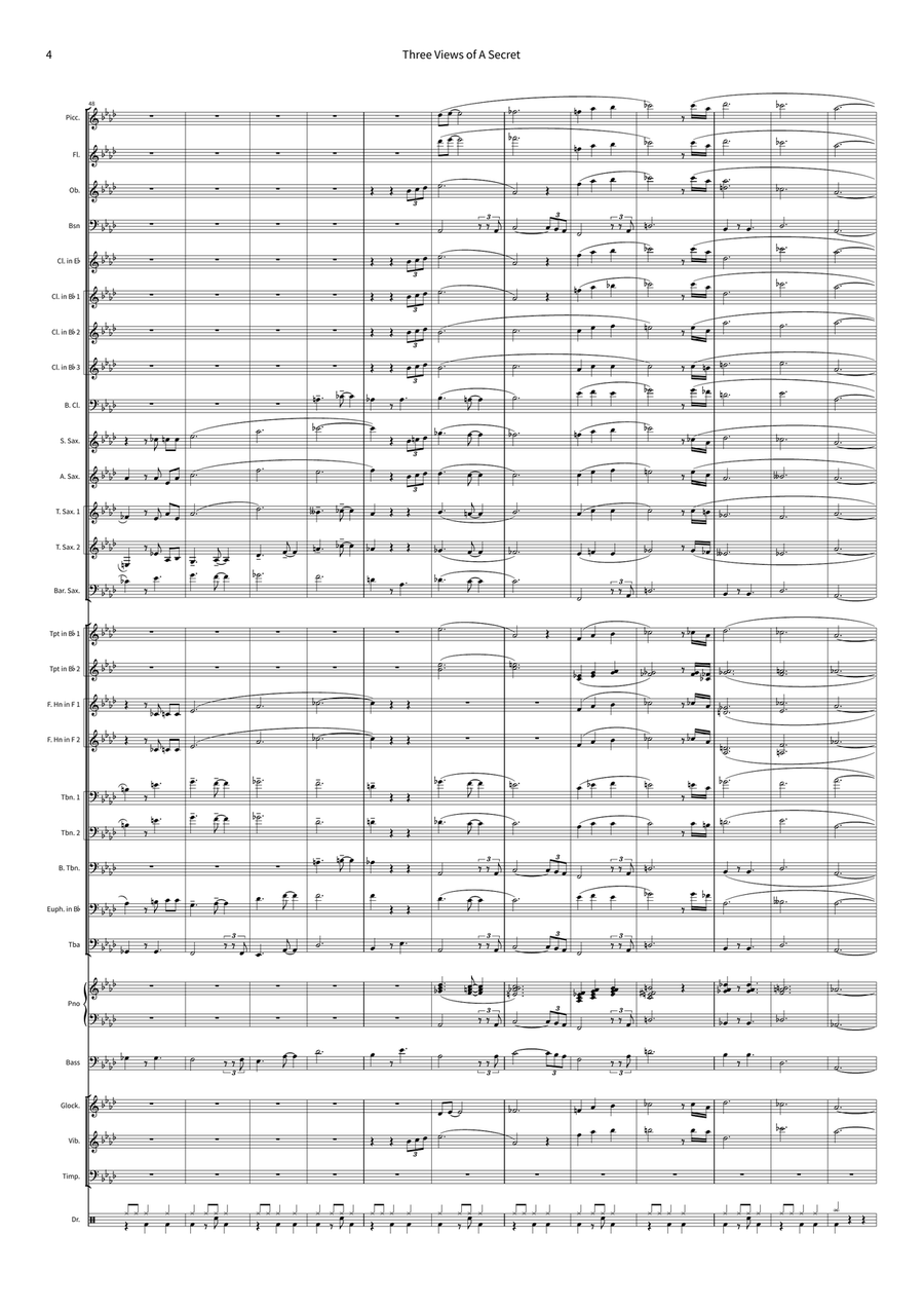 Three Views Of A Secret Concert Band scores gallery preview page 4
