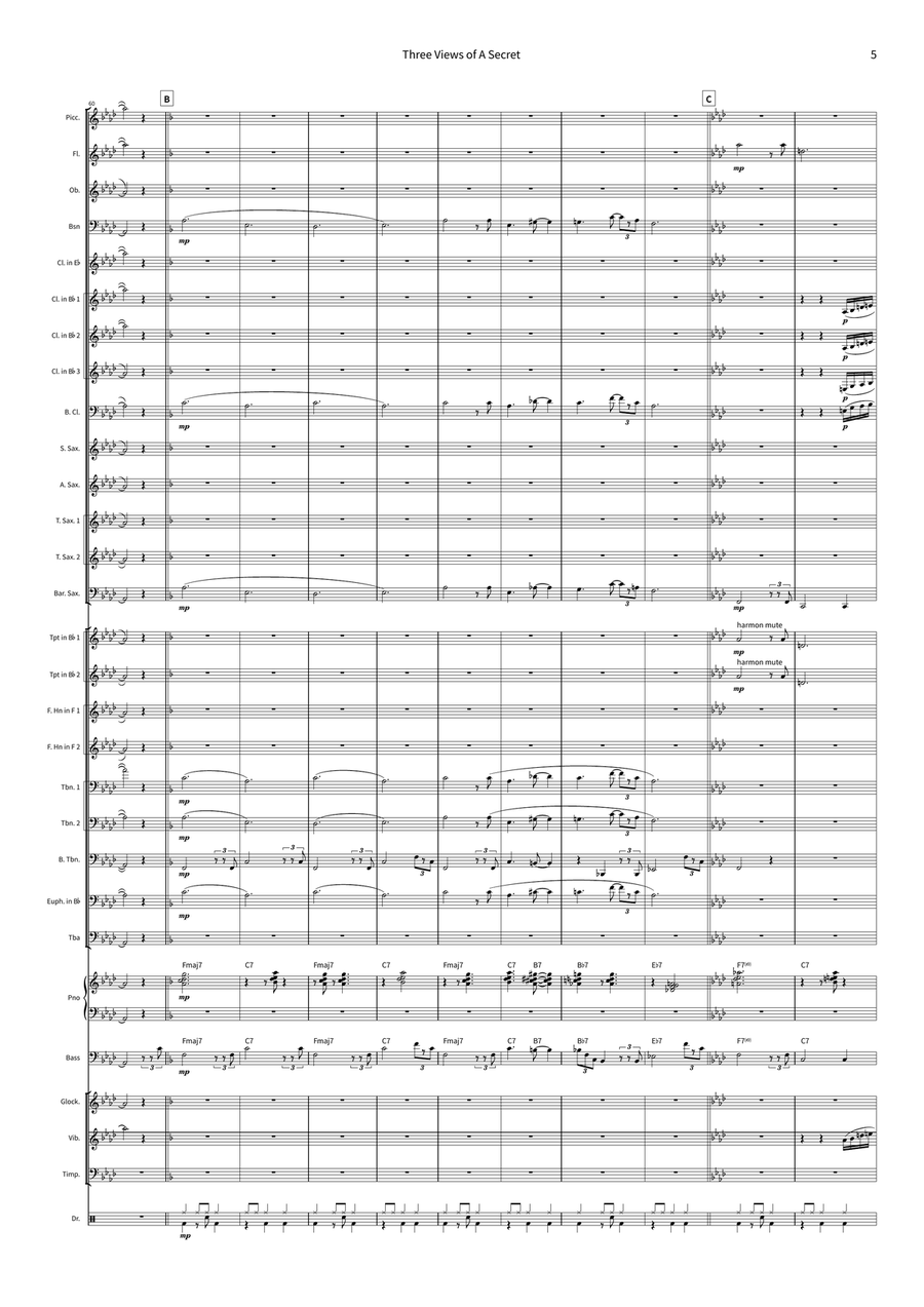 Three Views Of A Secret Concert Band scores gallery preview page 5