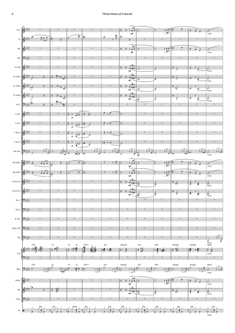 Three Views Of A Secret Concert Band scores gallery preview page 6