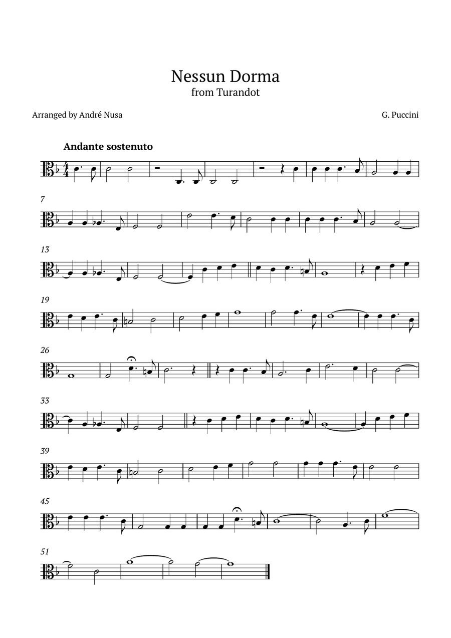 Nessun Dorma Viola Solo scores gallery preview page 1