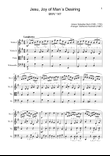 J. S. Bach - Jesu, Joy of Man´s Desiring. String Quartet with Parts.