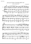[Pedal Harp & Violin Duet] Jesu, Joy of Man's Desiring, BWV147
