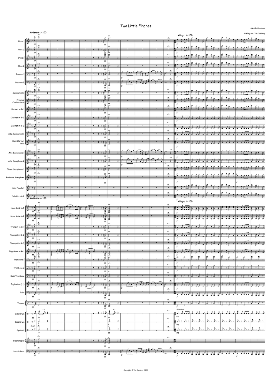 Two Little Finches Two Little Finches Concert Band scores gallery preview page 1