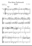 Eine kleine Nachtmusik