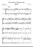 Eine kleine Nachtmusik