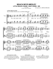 Medley: Little Deuce Coupe with Shut Down and 409