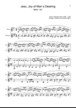 J. S. Bach - Jesu, Joy of Man´s Desiring. Flute and Clarinet.