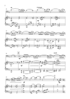 ADAGIO FOR CELLO AND STRING ORCHESTRA clavier String Orchestra scores gallery preview page 5