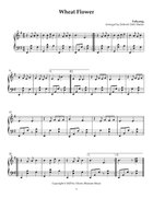 The Persian Harp Celtic Harp scores gallery preview page 5