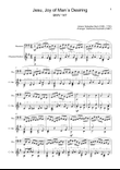 J. S. Bach - Jesu, Joy of Man´s Desiring. Bassoon and Guitar.
