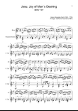 J. S. Bach - Jesu, Joy of Man´s Desiring. Flute and Guitar.