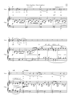 Pani Angelicus Piano, Vocal scores gallery preview page 3