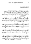 J. S. Bach - Jesu, Joy of Man´s Desiring. Viola and Bassoon.