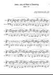J. S. Bach - Jesu, Joy of Man´s Desiring. Violin and Bassoon.