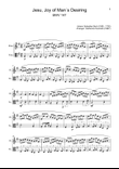 J. S. Bach - Jesu, Joy of Man´s Desiring. Flute and Viola.