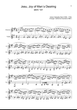 J. S. Bach - Jesu, Joy of Man´s Desiring. Clarinet and Violin.