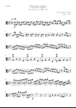Passacaglia - Suite no.7 HWV 432 - Viola Solo
