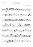 Passacaglia - Suite no.7 HWV 432 - Cello Solo