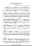 Eine Kleine Nachtmusik (1st movement) for Oboe and Double Bass Duet