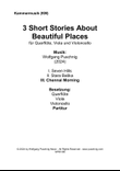3 Short Stories About Beautiful Places, 3. Chennai Morning - für Querflöte, Viola und Violoncello
