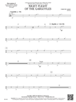 Night Flight of the Gargoyles: Percussion 2