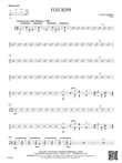 Fleckish: Drum Set