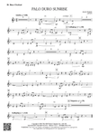 Palo Duro Sunrise: B-flat Bass Clarinet