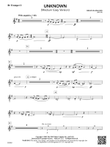 Unknown: B-flat Trumpet 2