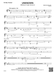 Unknown: B-flat Bass Clarinet