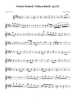 Tritsch-Tratsch Polka - Johann Strauss