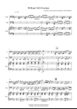 William Tell Overture for Cello and Tuba Duet